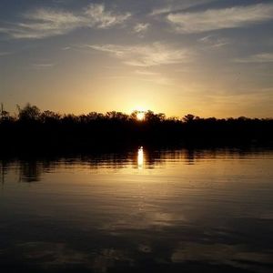 Meet your Posher, Ricky